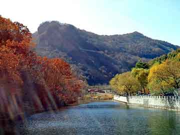 天天彩好彩天天免费，双氧水